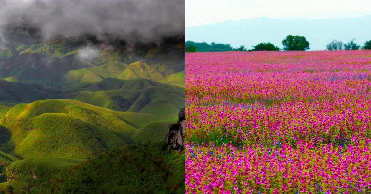 6 unreal places in India to plan your next trip from Visakhapatnam to!