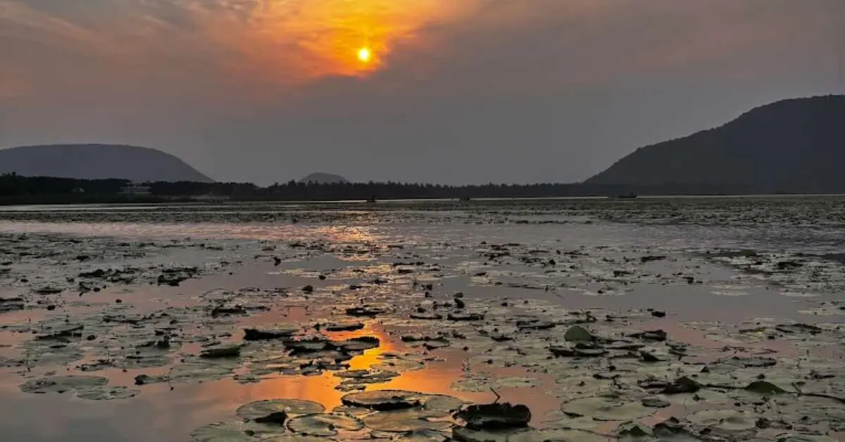 Visakhapatnam: Kondakarla Ava to be AP's first ever conservation reserve