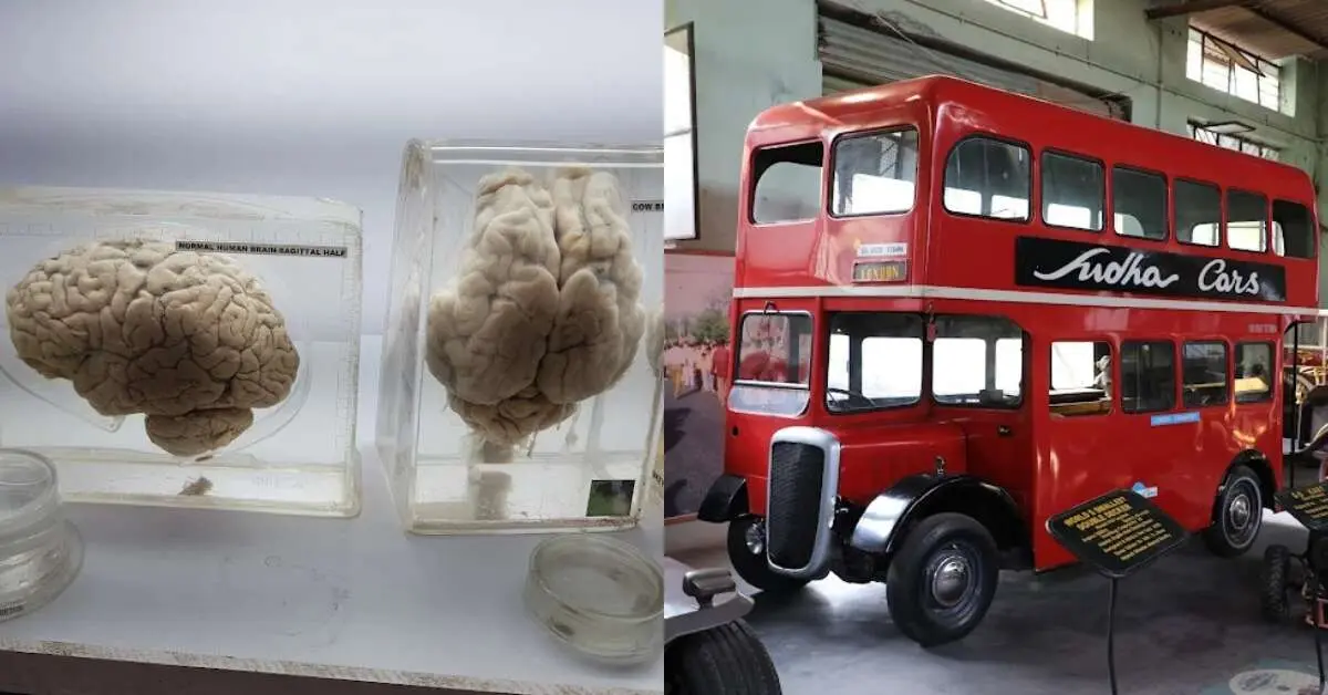 Love the Submarine Museum in Vizag? Here are 11 unique museums in India you must visit!