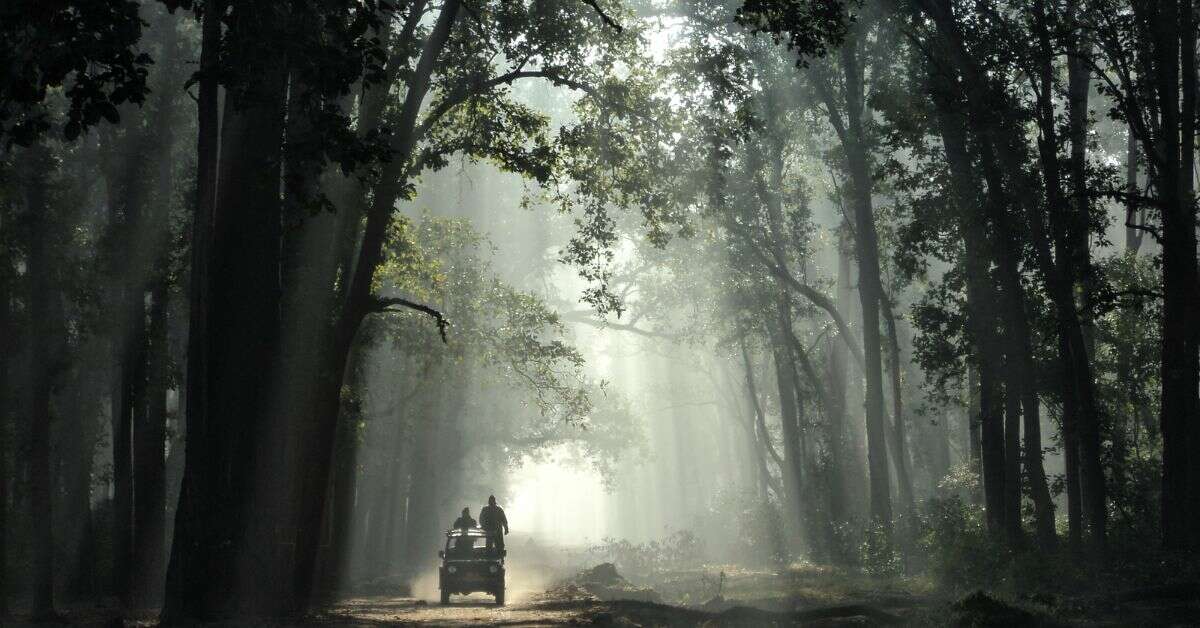 Loved Vizag's Zoological Park? Explore these top national parks in India next!