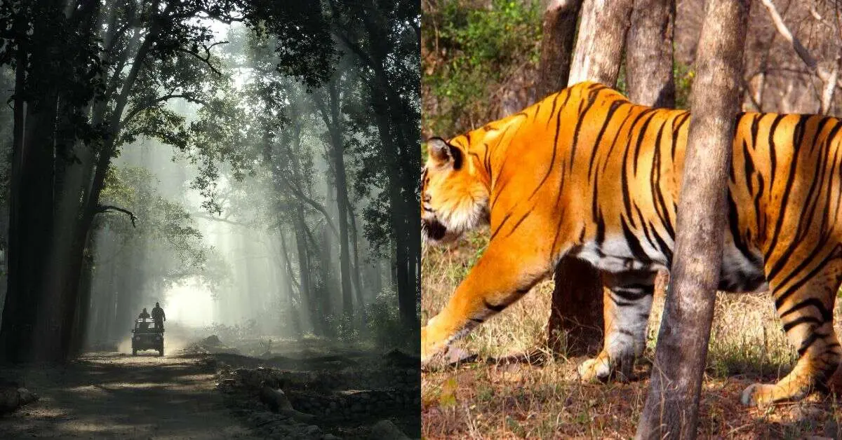 Loved Vizag's Zoological Park? Explore these top national parks in India next!
