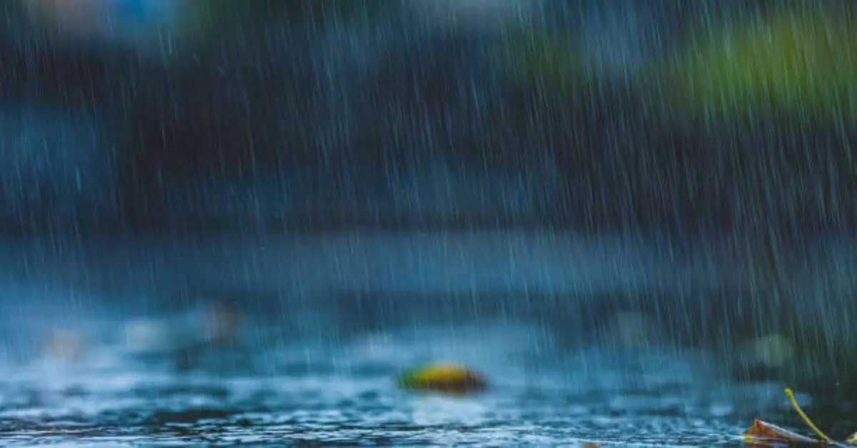 Visakhapatnam records 104% excess rainfall in May 2025