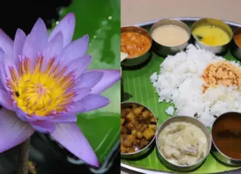 Everything Interesting You Can Do In and Around Waltair for a Perfect Day in Vizag!