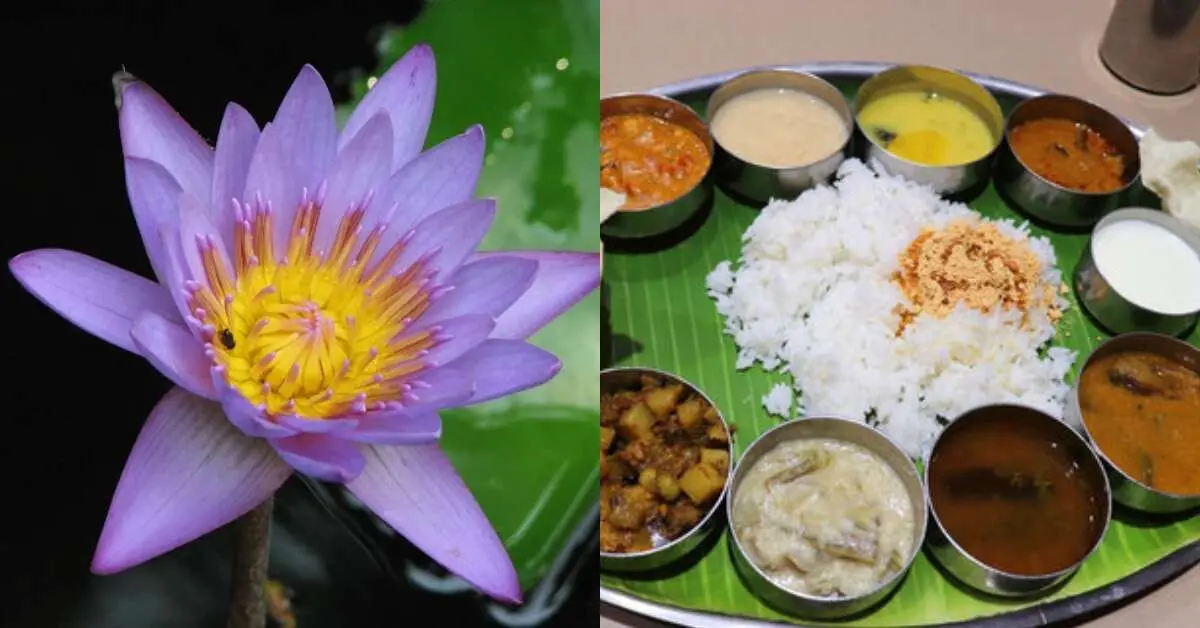 Don't miss these interesting things to do in Waltair for a perfect day in Visakhapatnam!