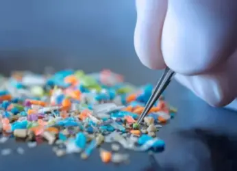Microplastics detected in seafood sampled along Vizag coast, says study
