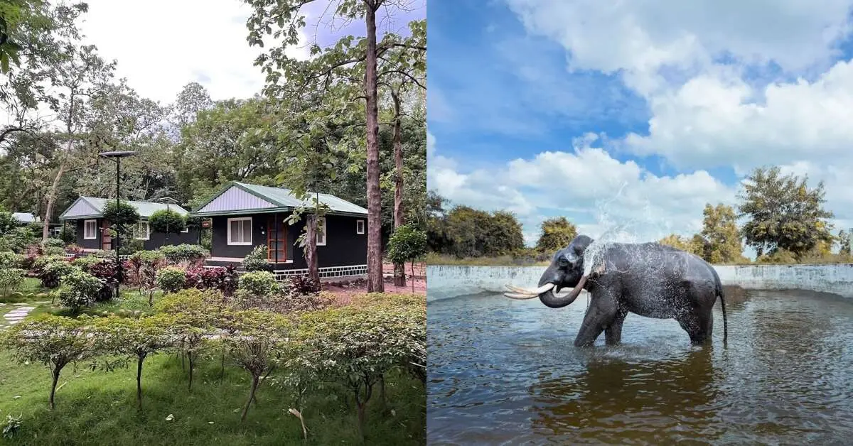 5 healing nature camps in Andhra for your next getaway from Visakhapatnam!