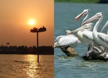 Just 300 km from Visakhapatnam, visit the largest shallow freshwater lake in Asia!