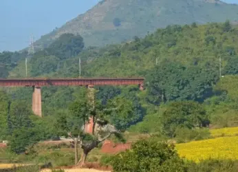 Vizag Gears Up for Massive Tree Plantation on World Environment Day