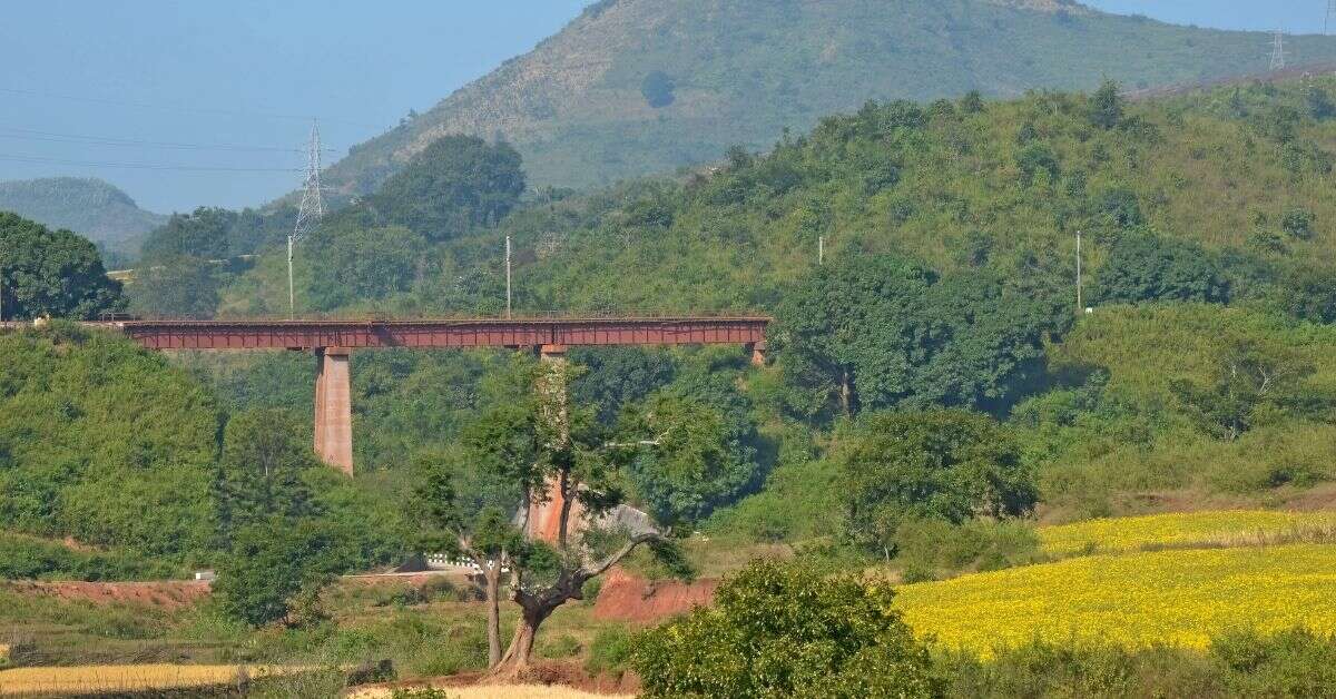 Vizag Gears Up for Massive Tree Plantation on World Environment Day