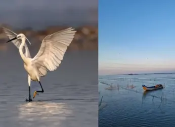 Vizag to Pulicat Lake: Exploring the Second-Largest Brackish Water Lagoon in India