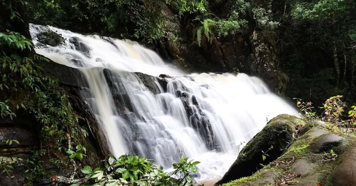 With this Vizag to Shillong travel guide, find the best tourist places to visit and things to do in the "Scotland of the East."