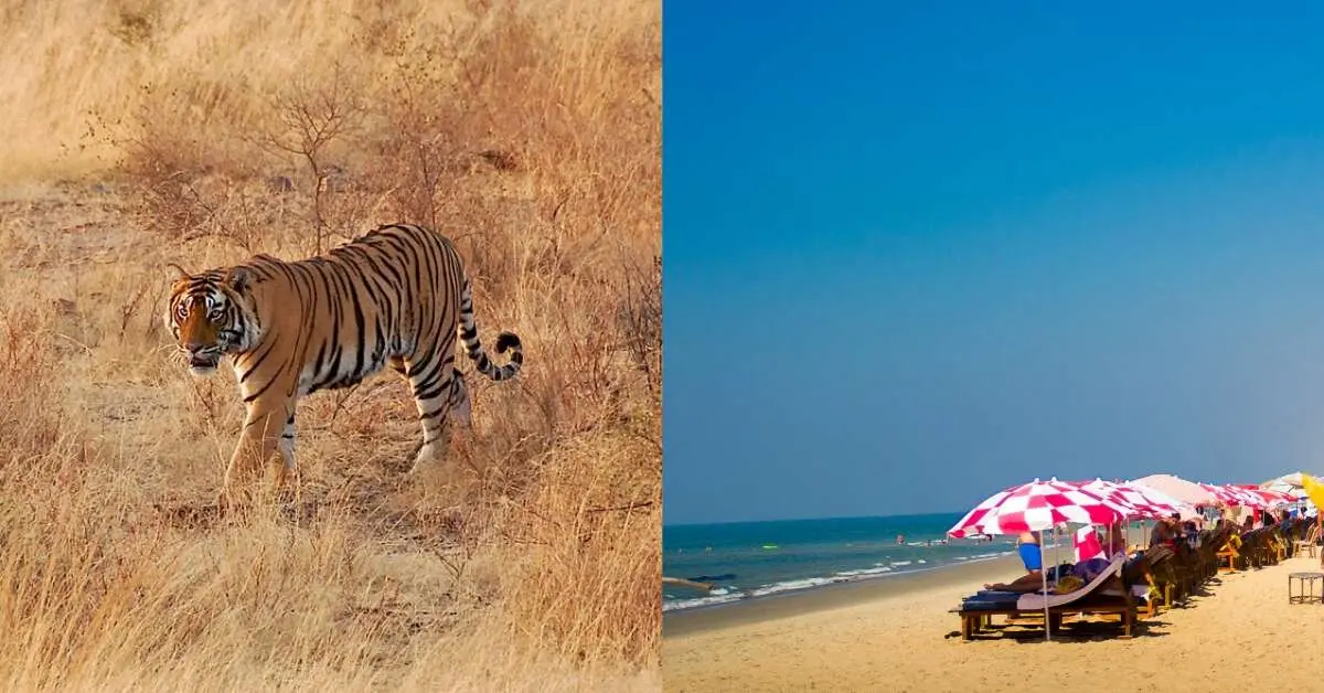 Plan a trip out of Vizag with friends? From Manali and Goa to Gokarna and Pondicherry, these are the best places to visit in India.