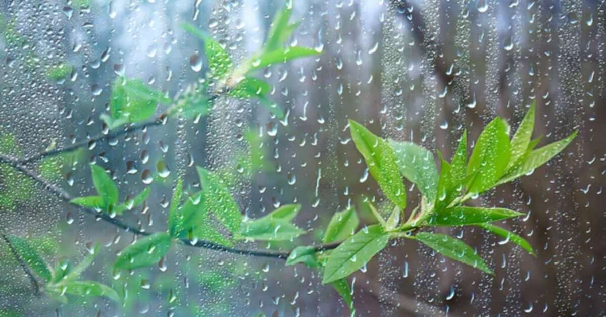 Weather update: Relentless rains to continue in Visakhapatnam