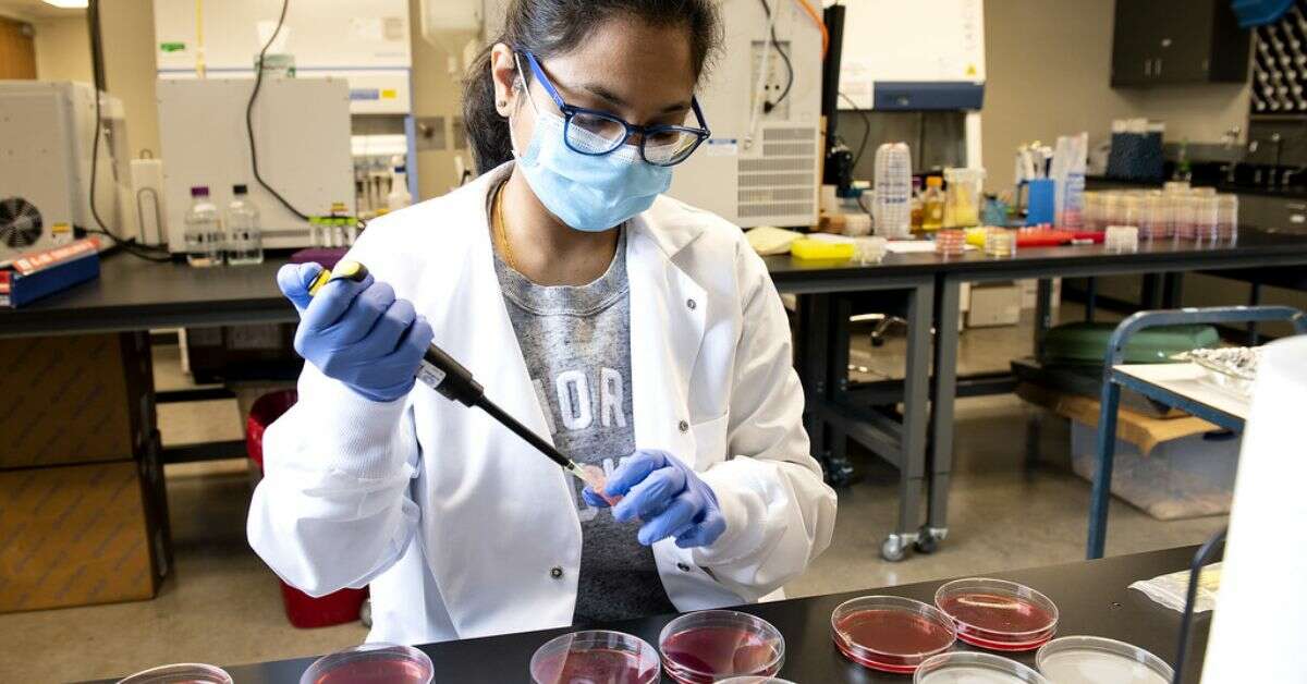 Visakhapatnam & Tirumala to have food quality testing labs