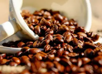 Araku coffee to hit Starbucks as AP govt signs 21 MoUs for tribal development