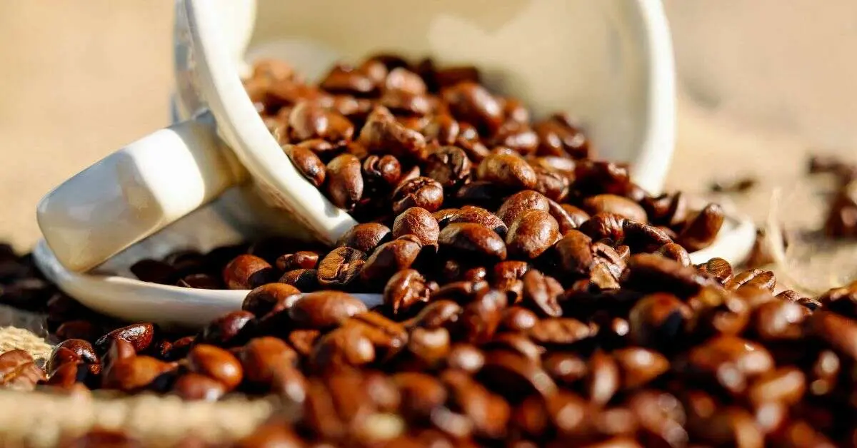 Araku coffee to hit Starbucks as AP govt. signs 21 MoUs for tribal development