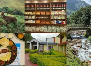 Munnar Travel Guide: Top Attractions & Tips For The Perfect Trip!
