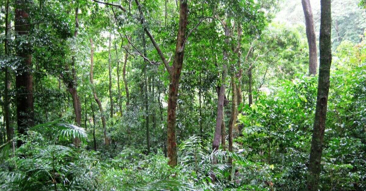 India Ecotourism guide: 4 top destinations to experience nature!