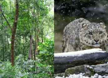 India Ecotourism guide: 4 top destinations to experience nature!