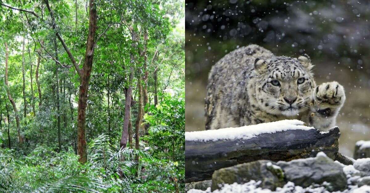 India Ecotourism guide: 4 top destinations to experience nature!