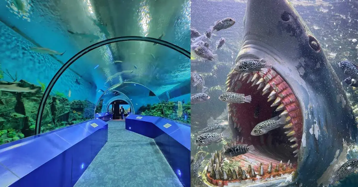 tunnel aquarium in India