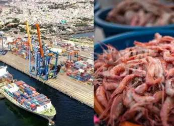 Visakhapatnam’s Seafood Industry: The Backbone of India’s Booming Seafood Exports