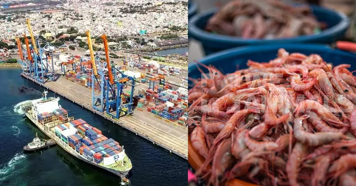 Visakhapatnam’s Seafood Industry_ The Backbone of India’s Booming Seafood Exports
