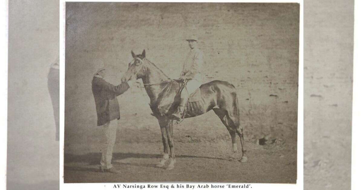 Vizianagaram Horses History: The legacy of the 1800s