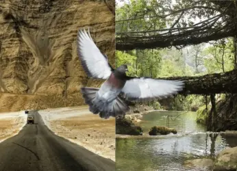 Dining with the Dead and a Museum for Toilets? Travel to These Bizarre Places in India From Vizag