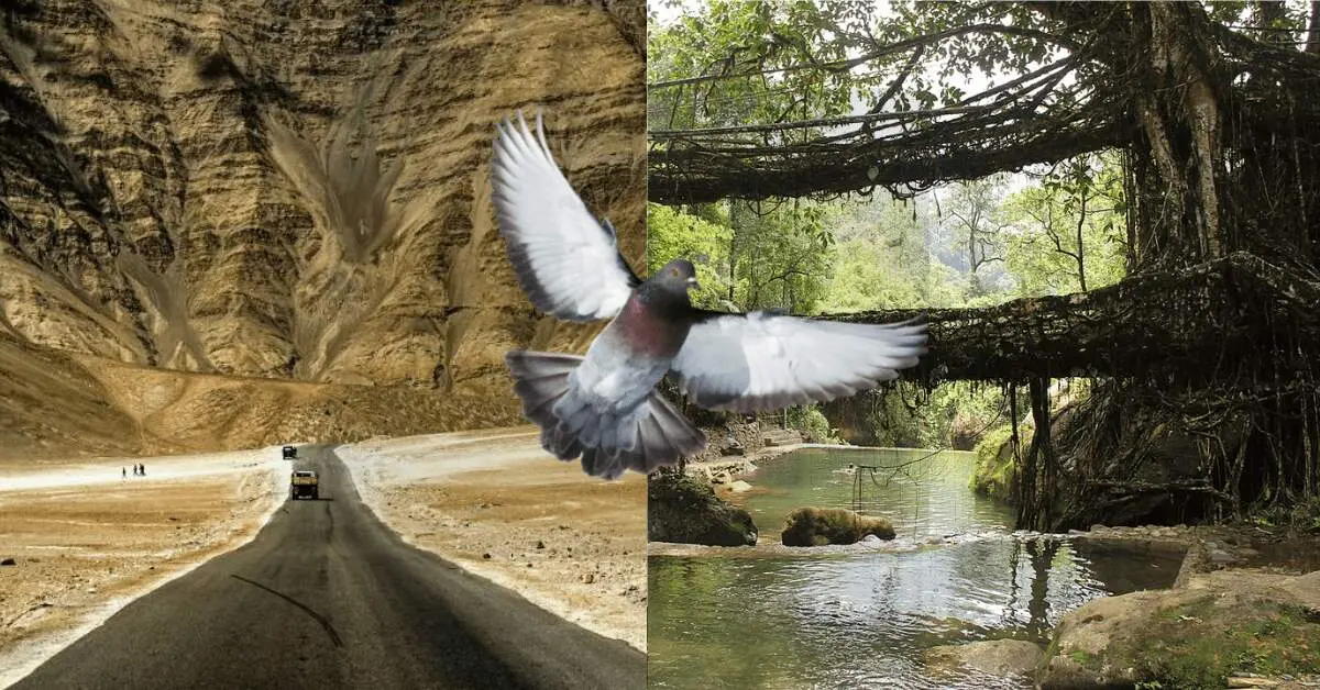 Travel to These Bizarre Places in India From Vizag