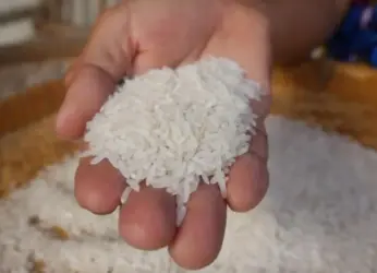 Vizag news: Mobile kits for ration rice testing to be distributed, says Minister Nadendla