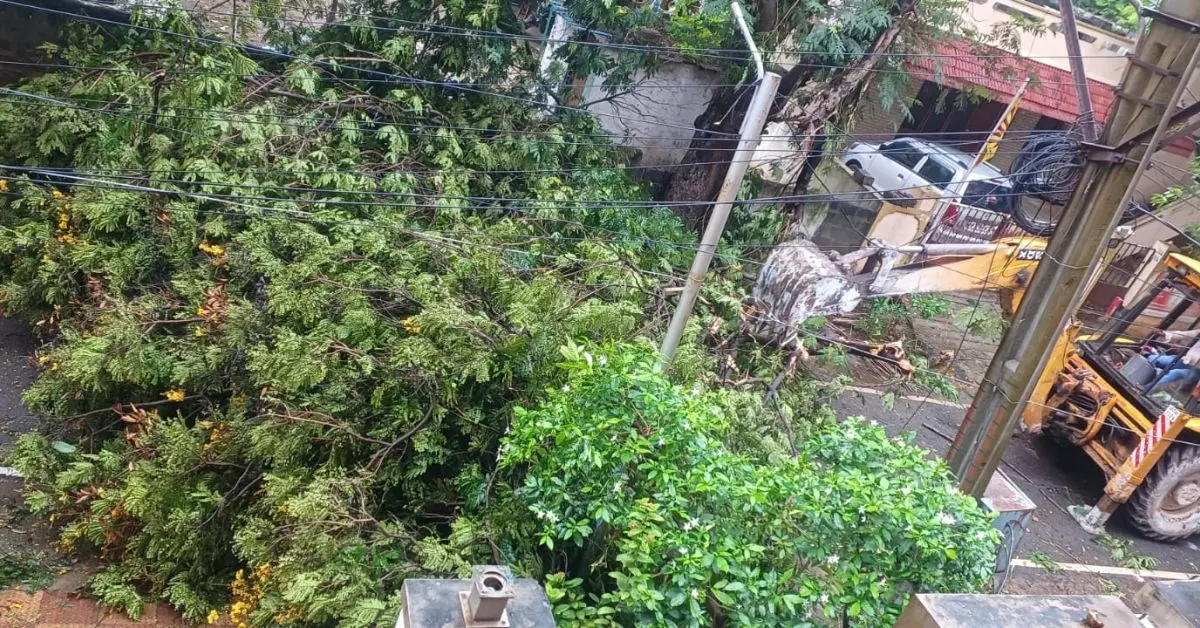 Heavy rains lash Vizag, strong winds uproot trees, wrecking havoc