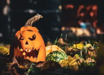 Your Ultimate Guide to Halloween 2025 Events in Vizag!