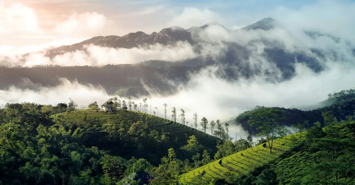 Book a trip to these top 4 solo travelling destinations in India!