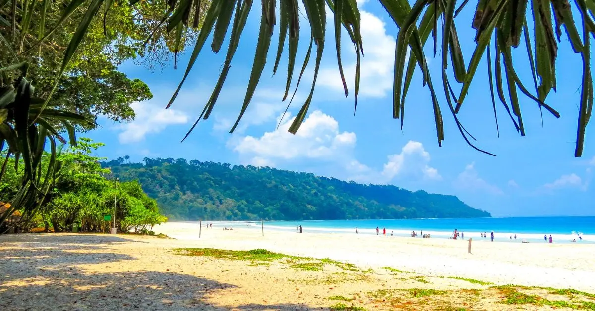 Blue Flag Certified Beaches in India You Shouldn’t Miss Out On!