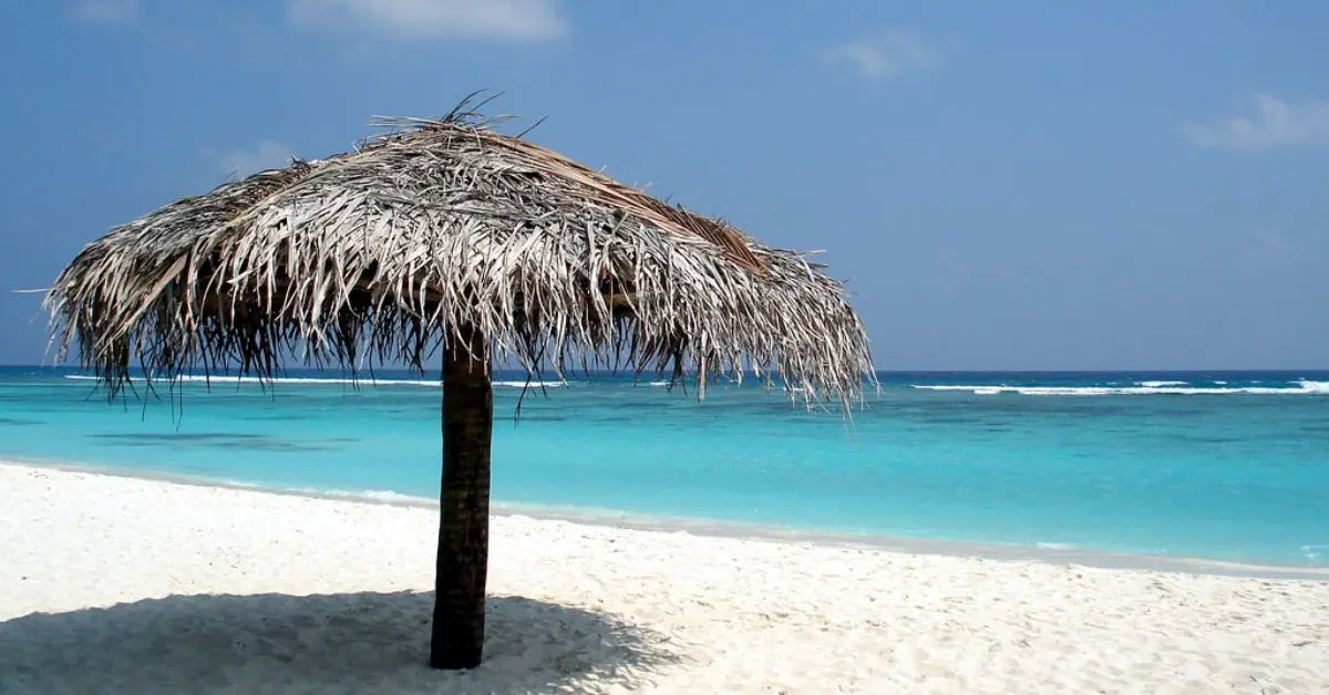 Blue Flag Certified Beaches in India You Shouldn’t Miss Out On!