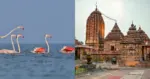 Vizag to Odisha Travel Guide: Top Places, Food & Travel Tips