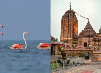 Planning a trip to Odisha from Vizag? Here’s a complete travel guide!