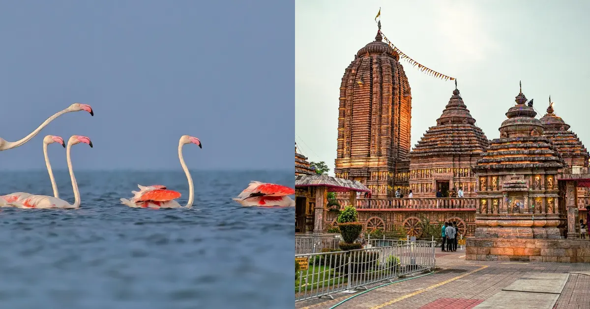 Vizag to Odisha Travel Guide: Top Places, Food & Travel Tips