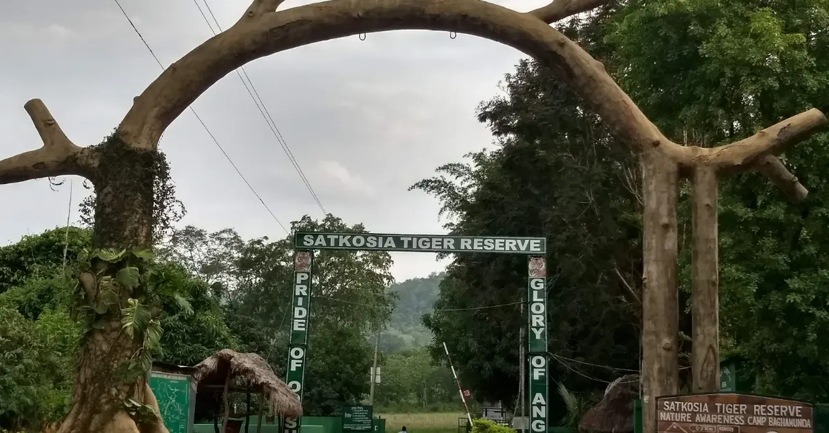 Vizag to Odisha Travel Guide: Top Places, Food & Travel Tips