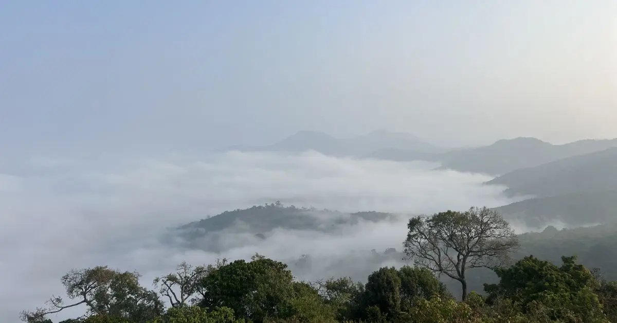 Vizag tourism hits peak season as hotel run at full capacity