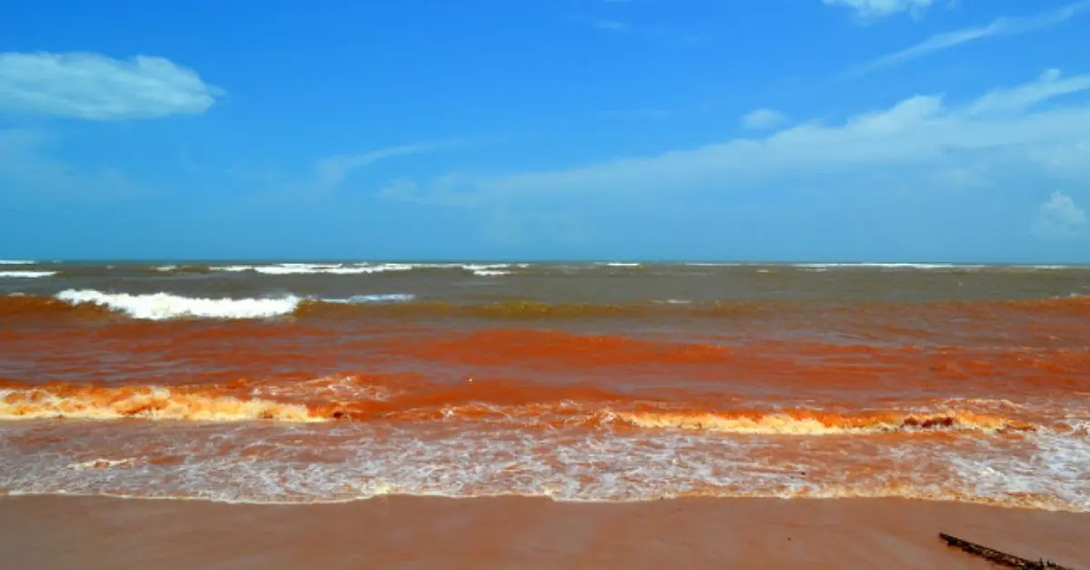 Vizag beaches water and shore turn red, cause, impact explained