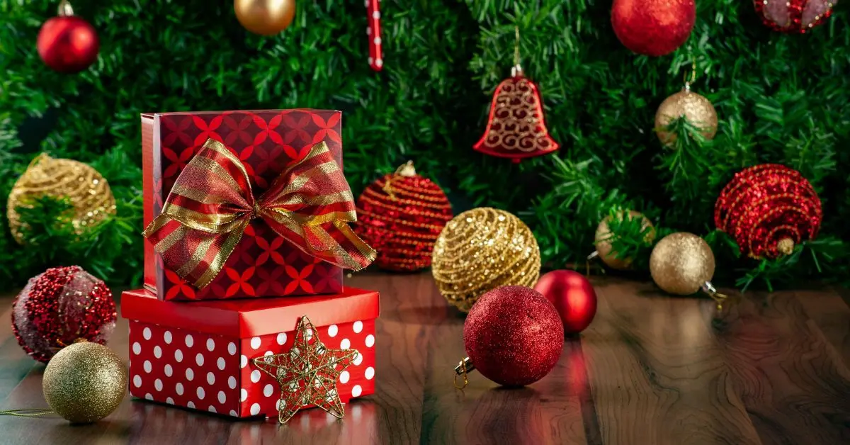 Timpany School Christmas Celebration: Timpanian Memories