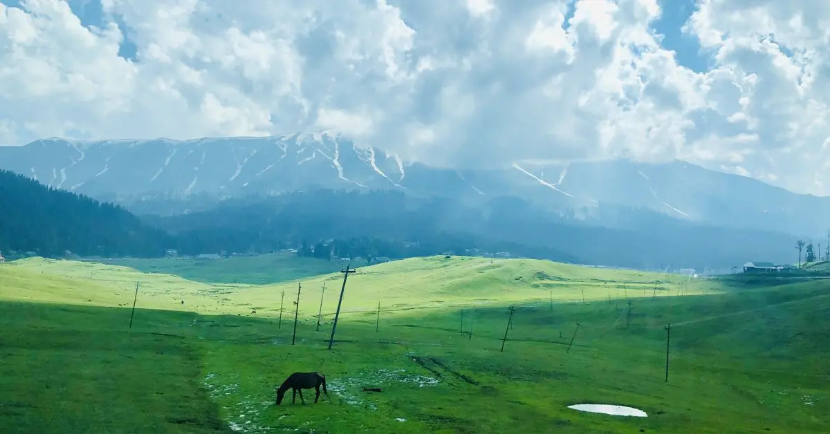 Top 4 winter destinations in India to travel from Vizag!