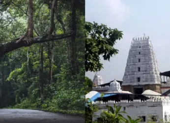 Planning a Vizag to Maredumilli Trip? Here’s the Itinerary You’ll Wish You Had Sooner!