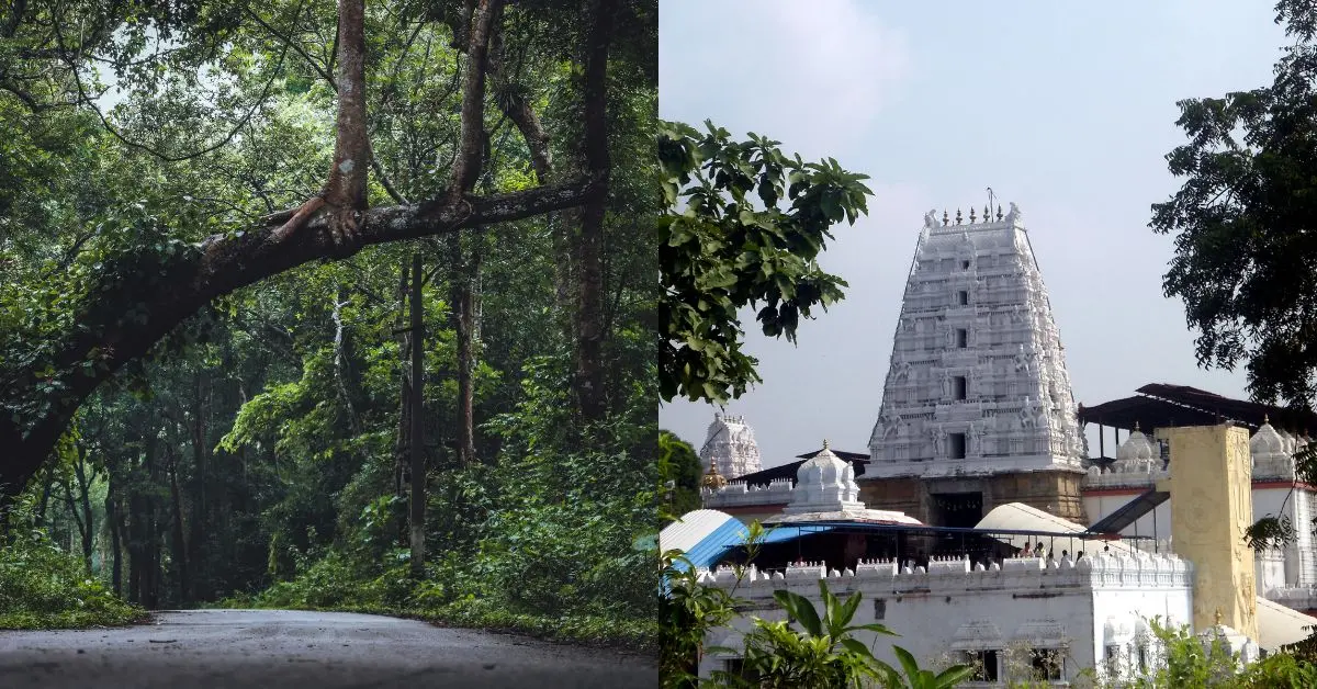 Maredumilli from Vizag: Best Itinerary & Tips