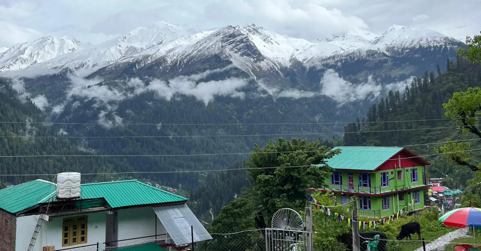 Slow travel: The woman from Visakhapatnam who let places find her!