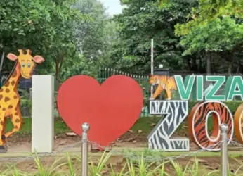 Four-day winter camp for children at zoo from tomorrow