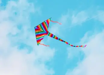 Sankranti Vizag: Police Seize Banned Chinese Manja