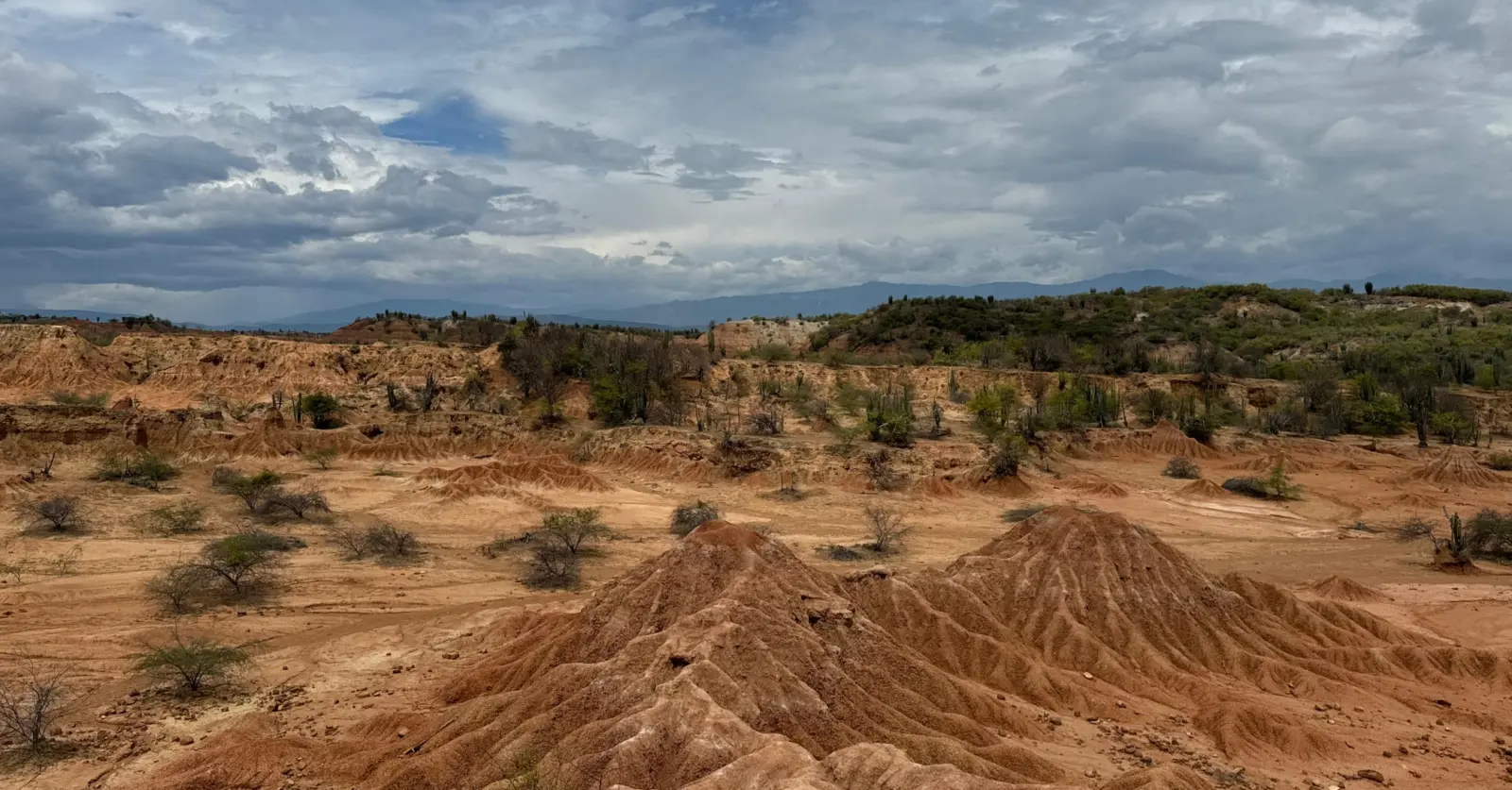 Slow travel: The woman from Visakhapatnam who let places find her!